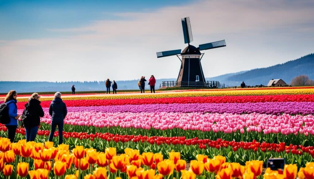 جولات سياحية في هولندا